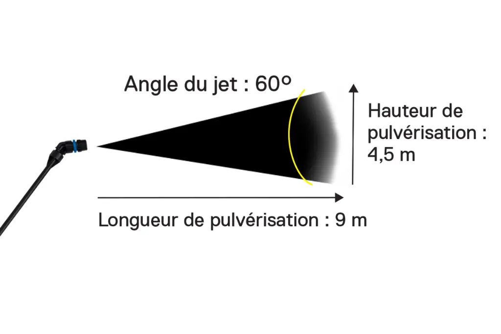 6117007-d2.webp